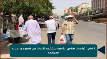 6 أيام.. توقعات طقس القاهرة ستشهد تقلبات بين الغيوم والحرارة المرتفعة